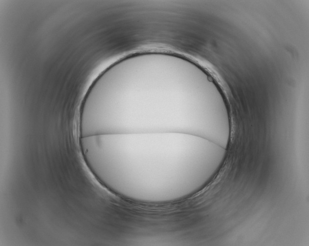 X0000111511295200908111300