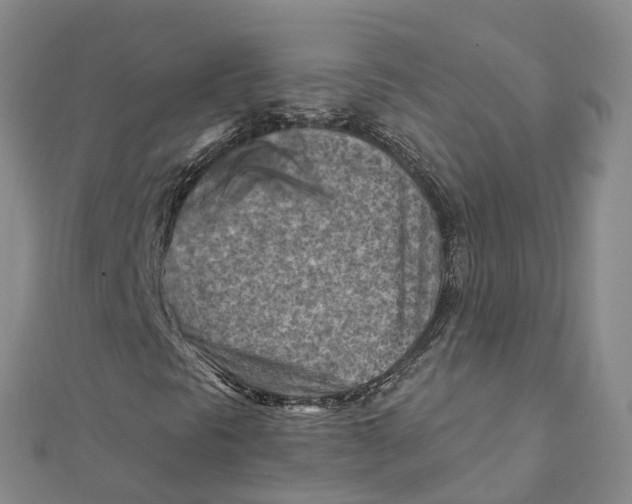 X0000111511297200908111300