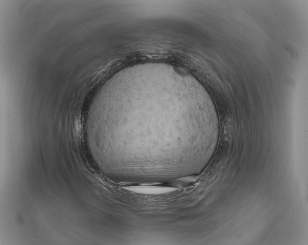 X0000111511298200908111300