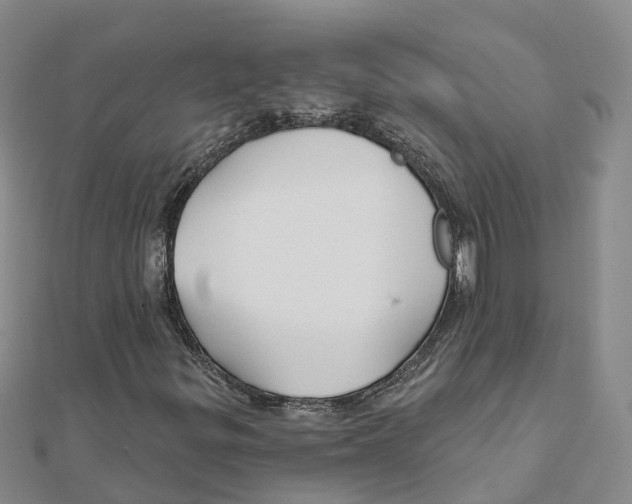 X0000111511299200908111300