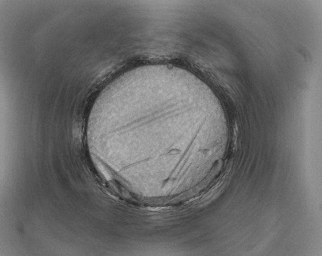 X0000111511300200908111300