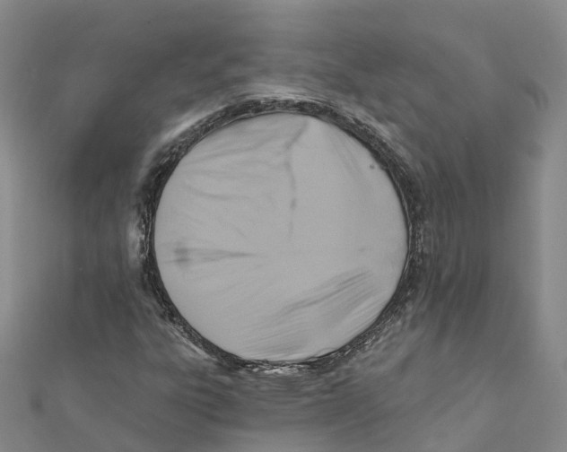 X0000111511303200908111300