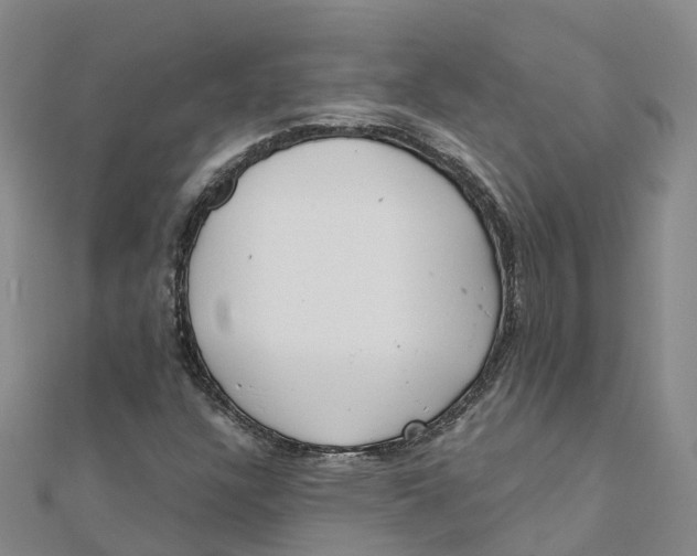 X0000111511304200908111300