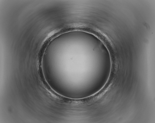 X0000111511306200908111300