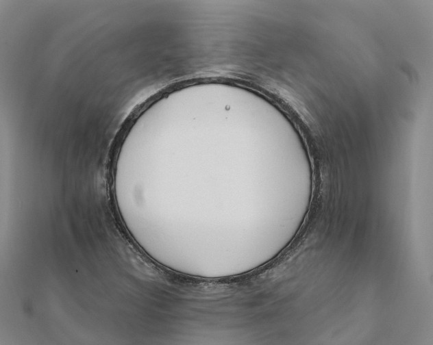 X0000111511308200908111300