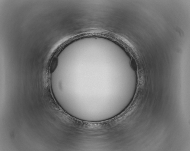 X0000111511310200908111300