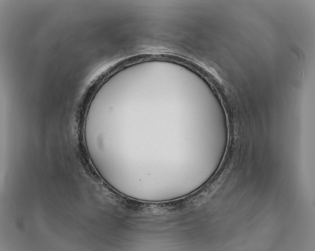 X0000111511311200908111300