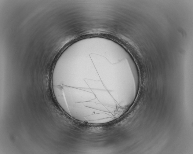 X0000111511313200908111300