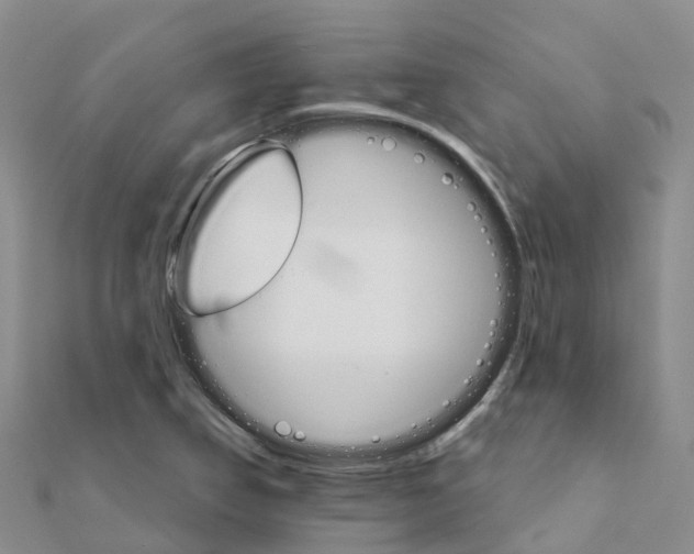 X0000111511314200908111300