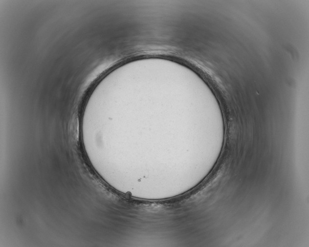 X0000111511317200908111300