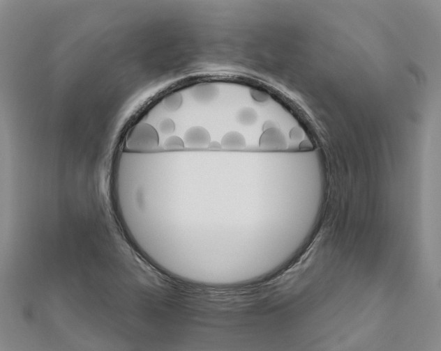 X0000111511319200908111300