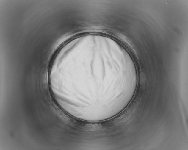 X0000111511320200908111300