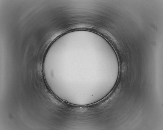 X0000111511321200908111300