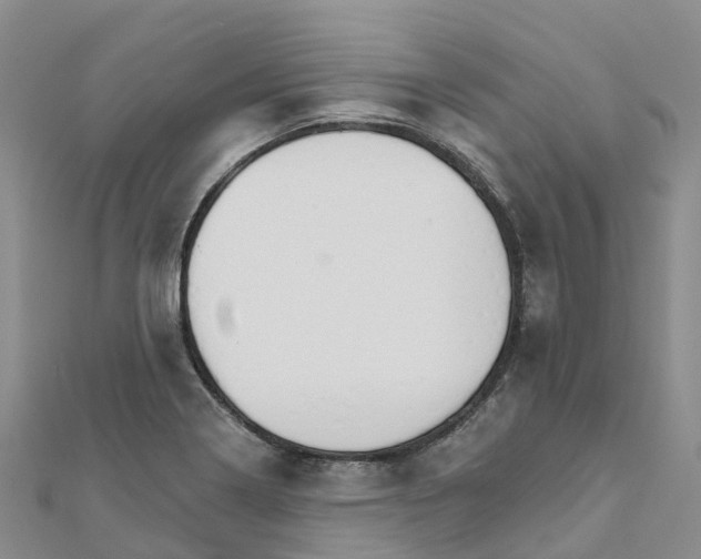 X0000111511322200908111300
