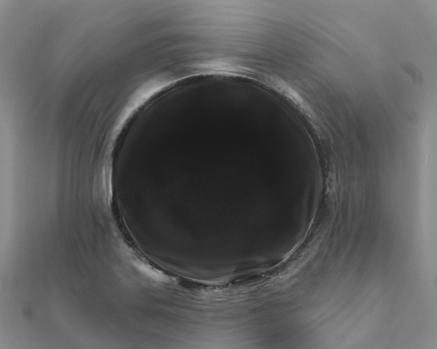 X0000111511323200908111300