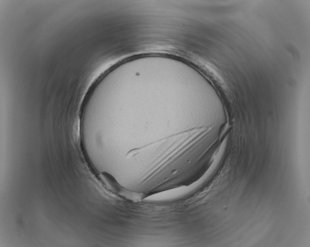 X0000111511324200908111300