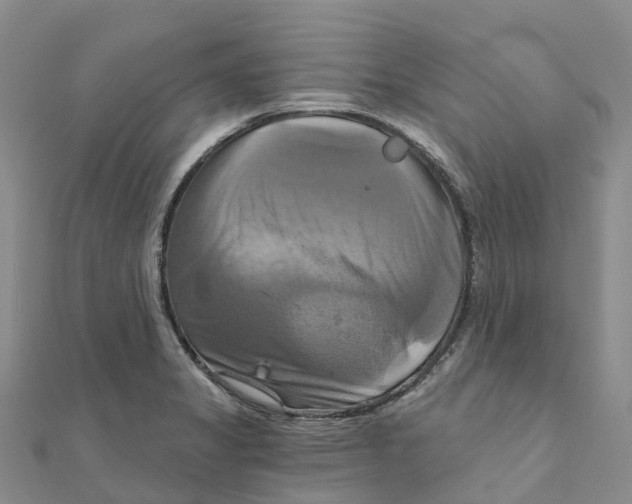 X0000111511325200908111300