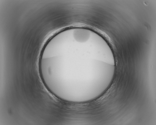 X0000111511327200908111300