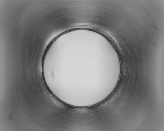 X0000111511328200908111300