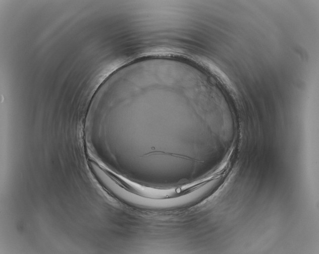 X0000111511329200908111300