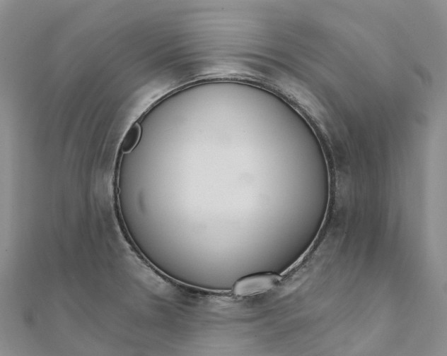 X0000111511330200908111300