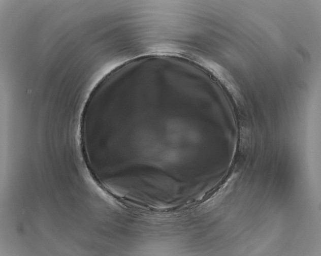 X0000111511331200908111300