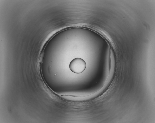 X0000111511332200908111300