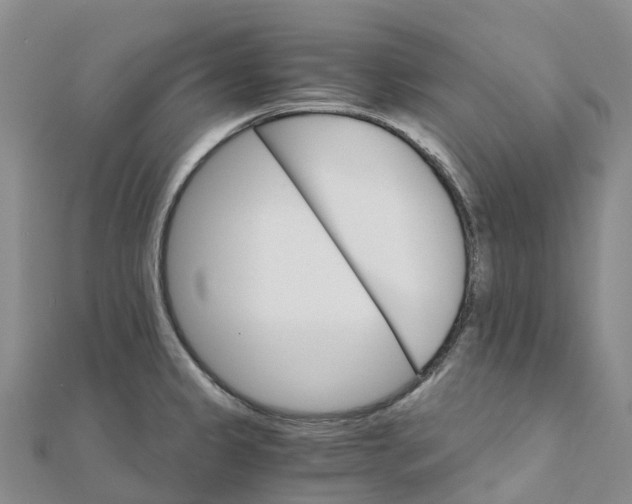 X0000111511333200908111300