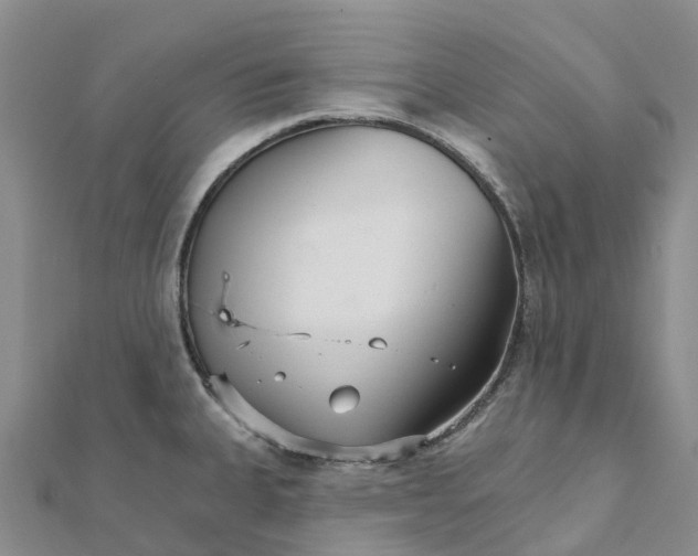 X0000111511335200908111300