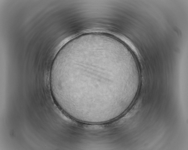 X0000111511337200908111300