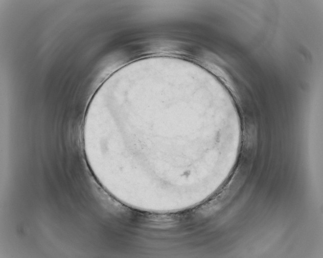 X0000111511338200908111300