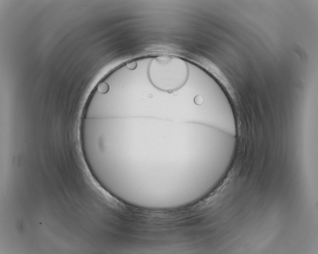 X0000111511339200908111300