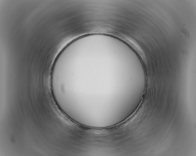 X0000111511340200908111300