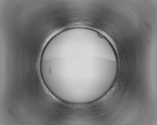 X0000111511341200908111300
