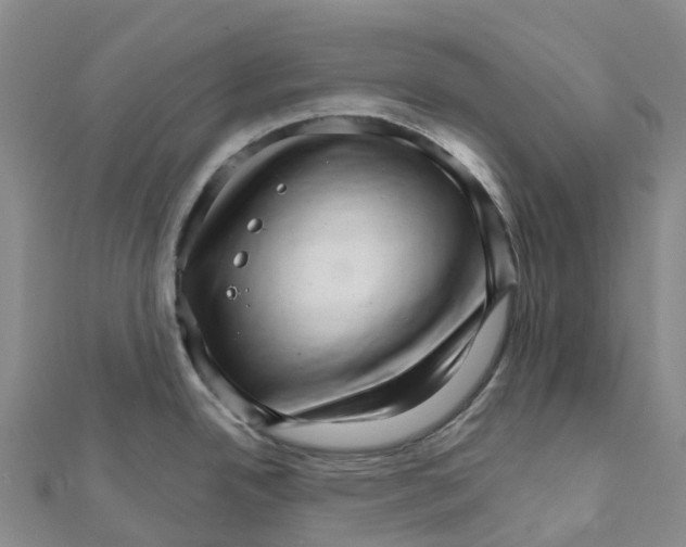 X0000111511342200908111300