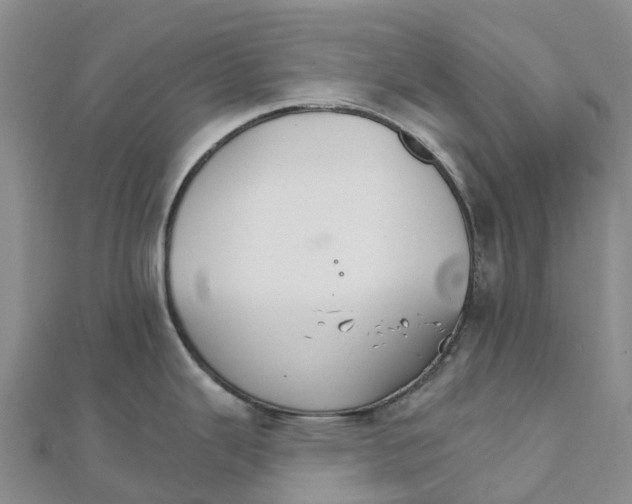 X0000111511343200908111300