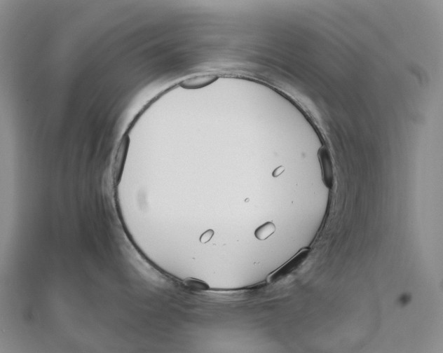 X0000111511344200908111300