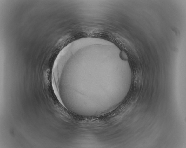 X0000111511346200908111300