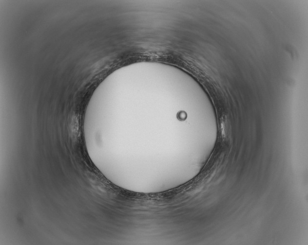 X0000111511347200908111300