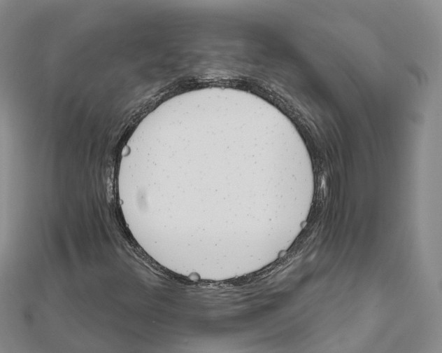 X0000111511348200908111300