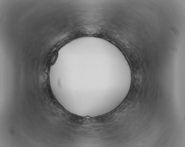 X0000111511349200908111300