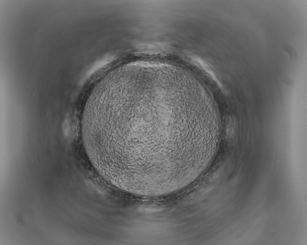 X0000111511350200908111300