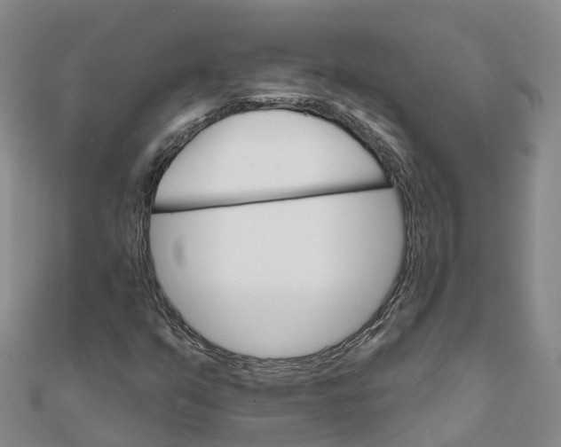 X0000111511351200908111300