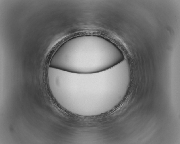 X0000111511352200908111300