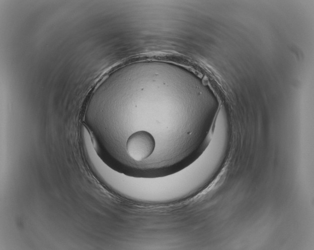 X0000111511353200908111300