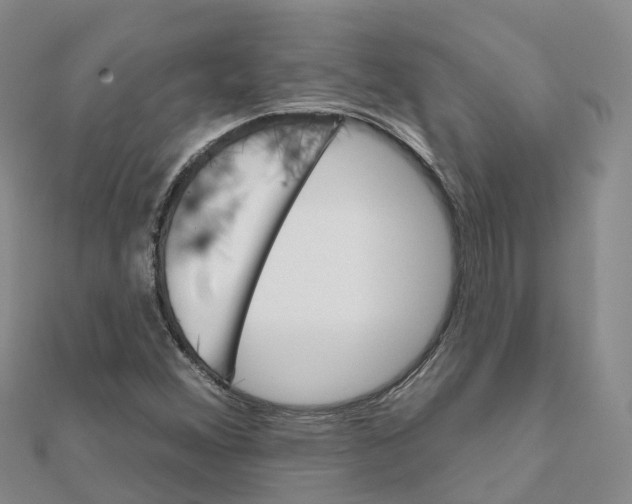 X0000111511356200908111259