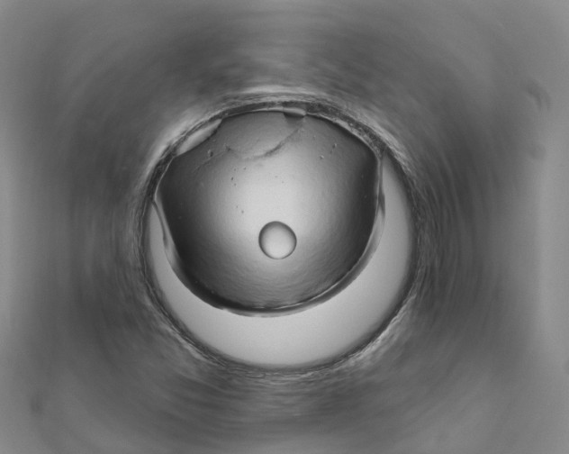 X0000111511357200908111259