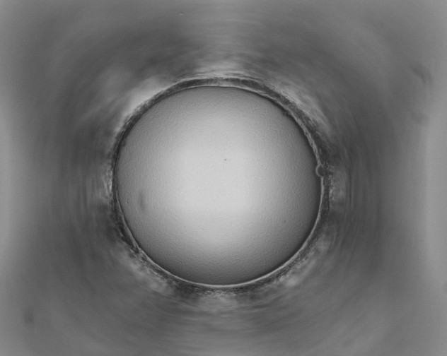 X0000111511358200908111259