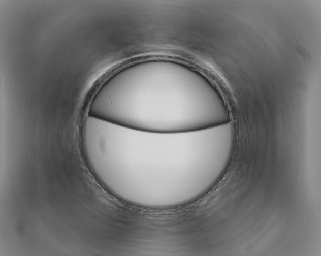 X0000111511360200908111259