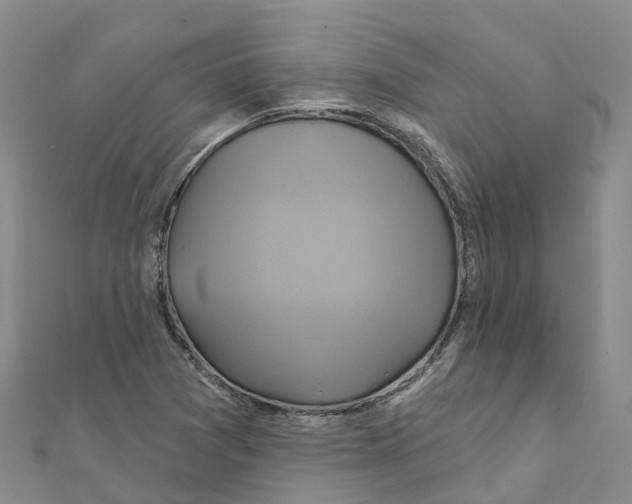 X0000111511361200908111259
